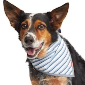 NWT Reddy reversible reflective striped Camo Bandana XS/S